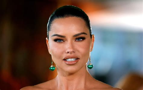 how much is adriana lima worth|Adriana Lima Net Worth 2023: What Is The Model。